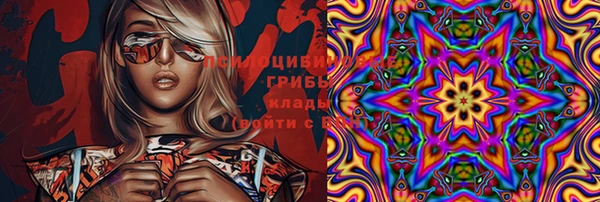 spice Медногорск