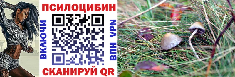 закладки Талица shop телеграм Галлюциногенные грибы MAGIC MUSHROOMS